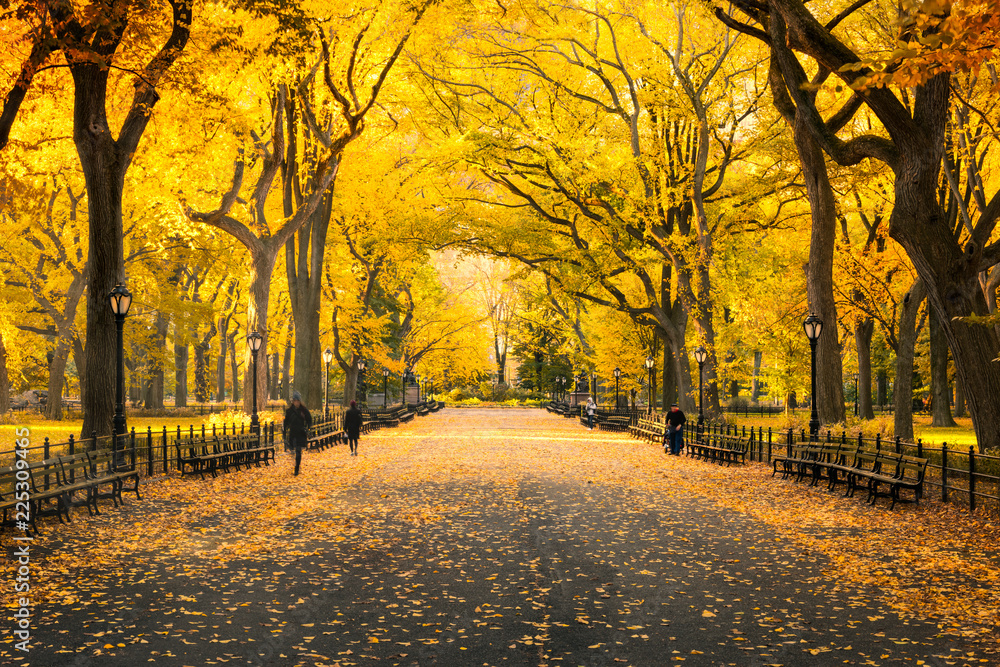 Herbst im Central Park in New York City, USA