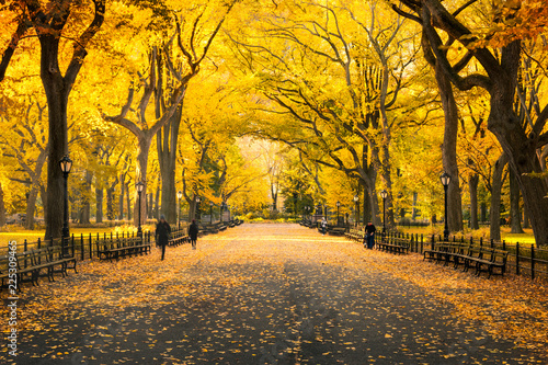 Herbst im Central Park in New York City, USA