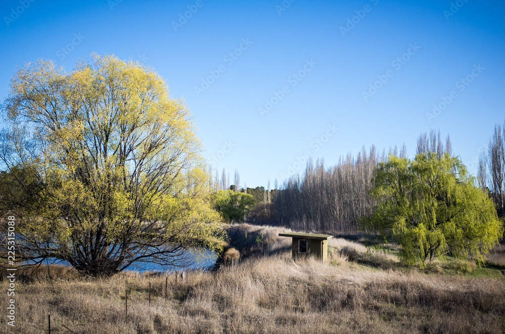 Obraz premium autumn landscape with trees and blue sky