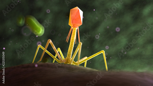3d rendered medically accurate illustration of a bacteriophage on a bacteria photo