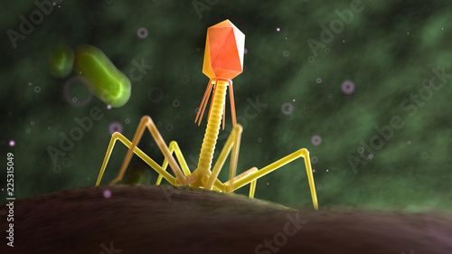 Fotografie 3d rendered medically accurate illustration of a bacteriophage on a bacteria