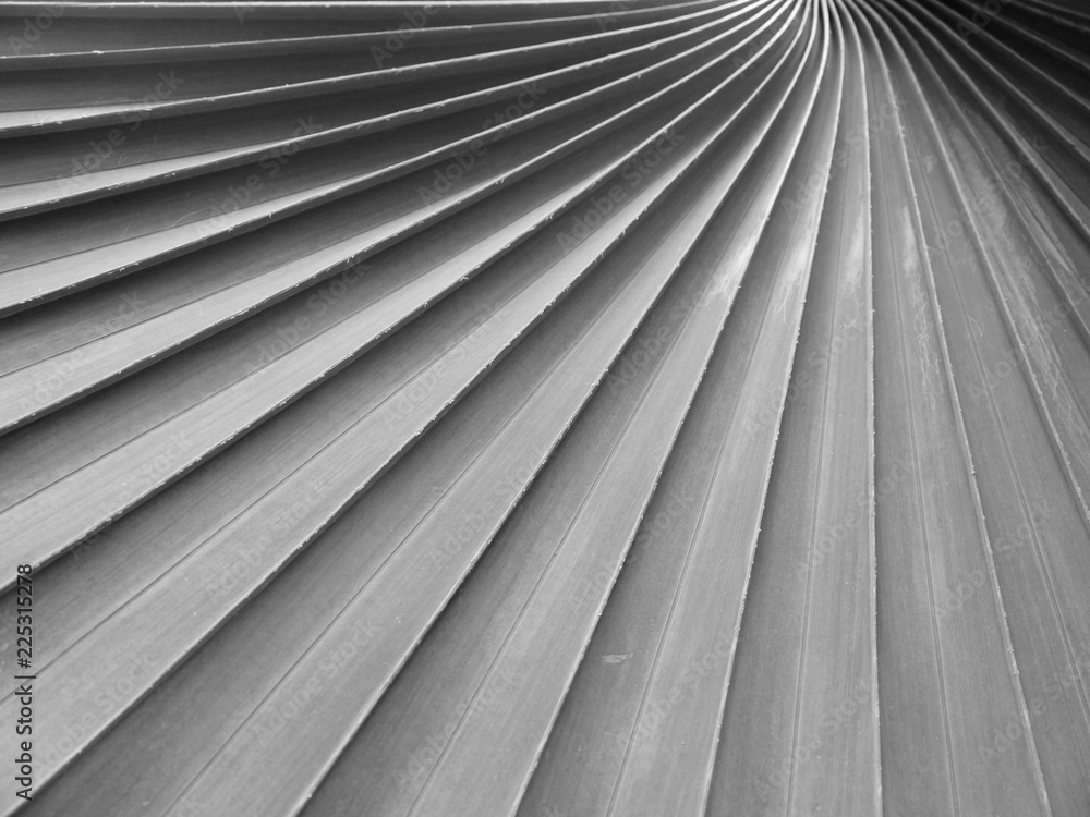 Obraz premium gray palm leaf with shadow pattern