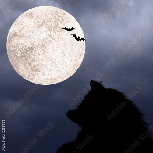 Halloween background with s...