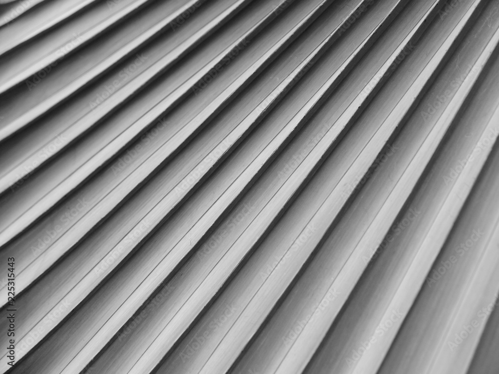 Obraz premium gray palm leaf with shadow pattern