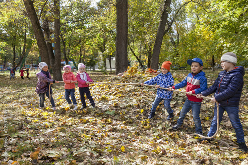 Children pull the rope in the autumn park
