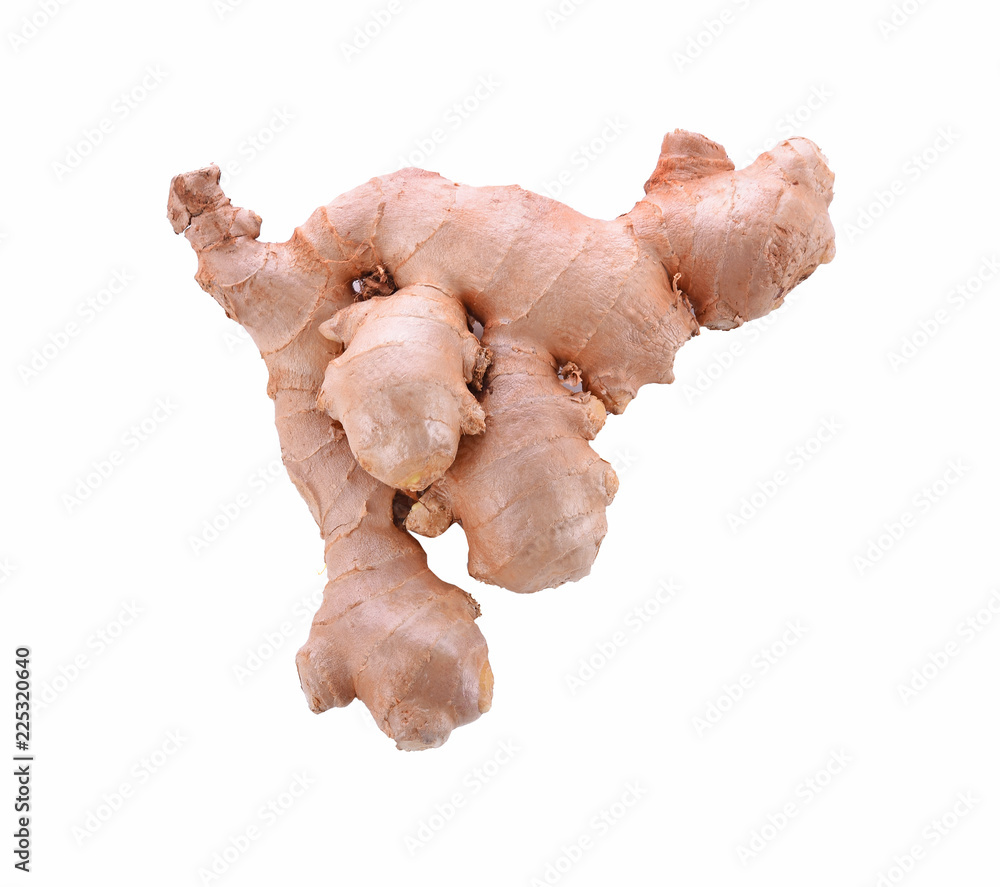 ginger isolated on white background ginger isolated on white background
