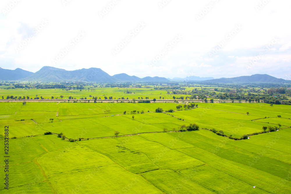 Obraz premium The farm are green.