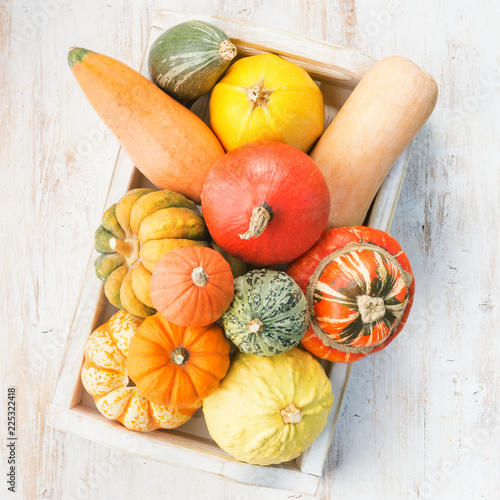 Wallpaper Mural Assortment of pumpkins and gourds in a tray on the white wooden table background, vertical, selective focus Torontodigital.ca