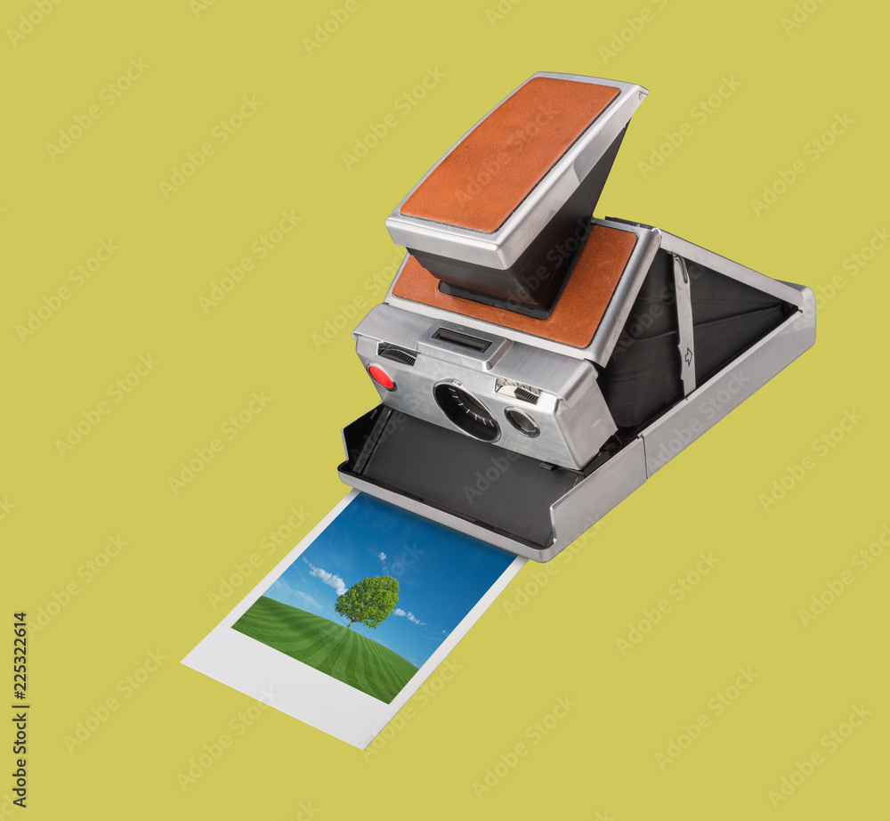 Instant Polaroid camera with print of tree in field Instant Polaroid camera with print of tree in field