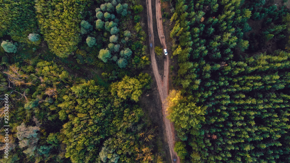 4K aerial of flying over a beautiful green forest in a rural landscape