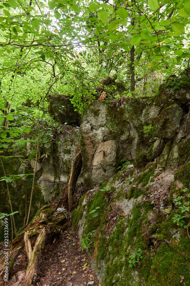 Fototapeta premium Wolf's Lair-Bunker Museum in Poland.