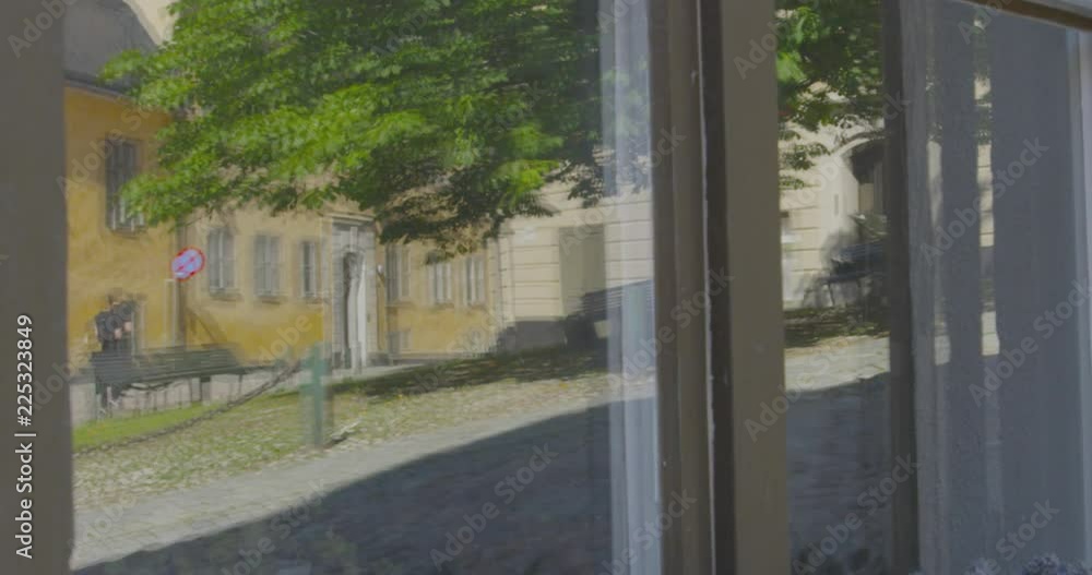 Window reflection with paved alley, tree, buildings and a person walking seen in it Window reflection with paved alley, tree, buildings and a person walking seen in it