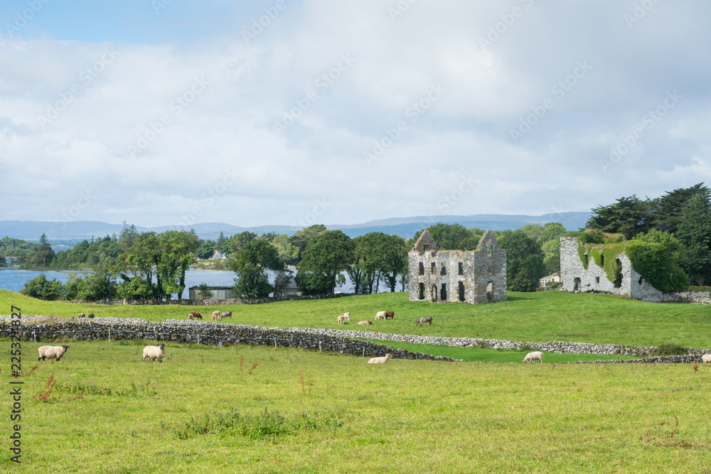 A view of Annaghkeen Castle, situated next to Lough Corrib in County Galway in Ireland. A view of Annaghkeen Castle, situated next to Lough Corrib in County Galway in Ireland.