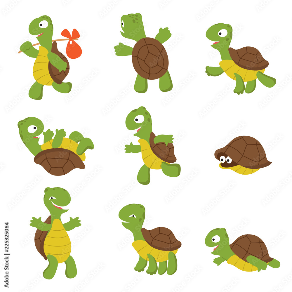 Cartoon turtle. Cute tortoise wild animal vector characters isolated. Turtle wildlife, terrapin wild and slow illustration