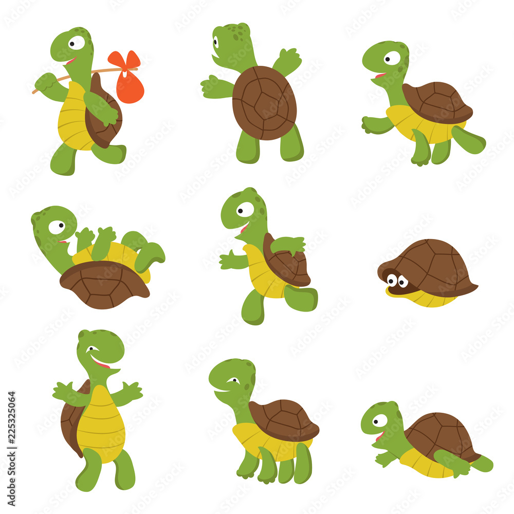 Cartoon turtle. Cute tortoise wild animal vector characters isolated. Turtle wildlife, terrapin wild and slow illustration Cartoon turtle. Cute tortoise wild animal vector characters isolated. Turtle wildlife, terrapin wild and slow illustration