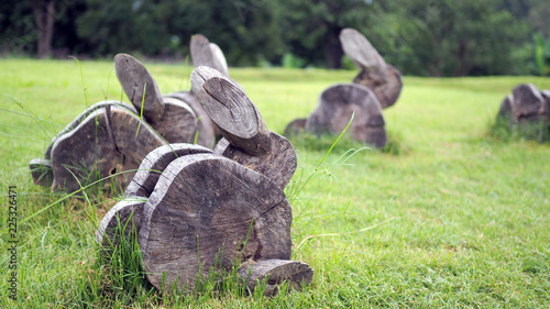 The wood is trimmed to the desired shape. Rabbit are made of wood on grass.