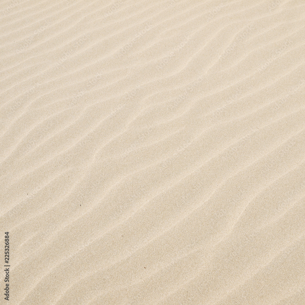 Sand texture.Dented wave of the blow of the wind Sand texture.Dented wave of the blow of the wind