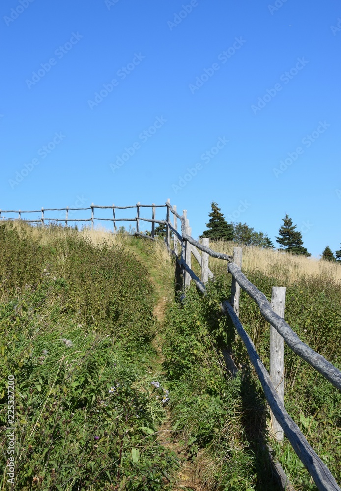 wooden fence along  an unmaintained hiking path, clear sunny Autumn day