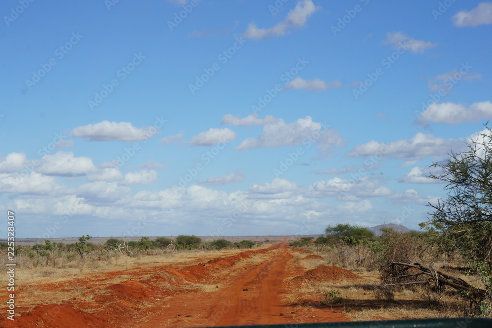Fototapeta premium Steppe