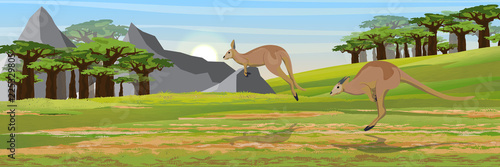 Two kangaroos are jumping. Baobab thickets and high mountain ranges. Realistic vector landscape. The nature of Australia