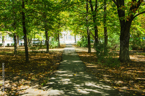 Fototapeta Naklejka Na Ścianę i Meble -  Road to school through the autumn park