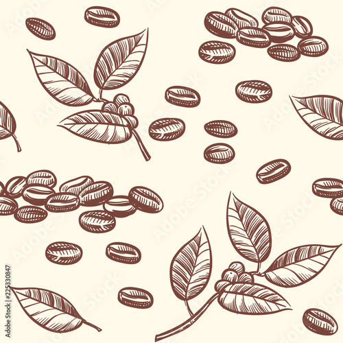 Coffee beans and leaves, espresso, cappuccino vector seamless pattern in sketch style. Illustration of cacao bean, chocolate drawing ingredient