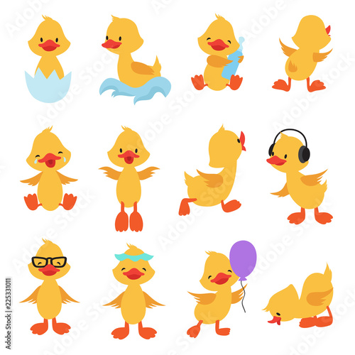 Cute chicks. Cartoon yellow ducks. Baby duck vector set. Bird animal, baby duck illustration