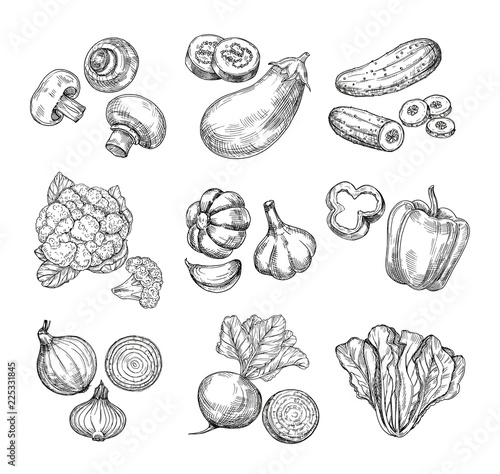 Hand drawn vegetables. Garden cauliflower, pepper and eggplant, champignons. Fresh vegan products. Sketch vegetable vector isolated set. Illustration of champignon and cucumber, cabbage and mushroom