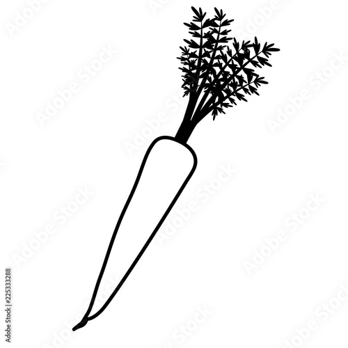 cute carrot isolated icon