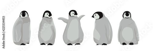 A set of realistic chic imperial penguins in different poses. Arctic birds and Australia. Vector illustration, isolated on white background.