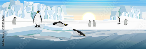 A flock of realistic imperial penguins with many little chicks. Two penguins from the ice floe into the water. The glacier and the snow-covered plains and the cold blue sea. Landscapes of Antarctic.