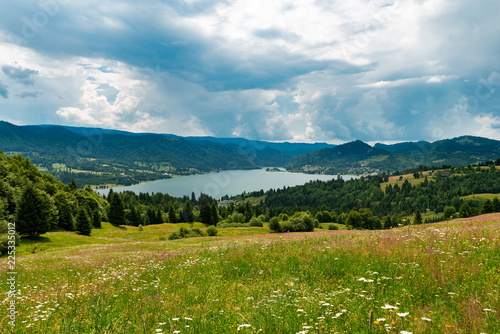 Spring Landscape 