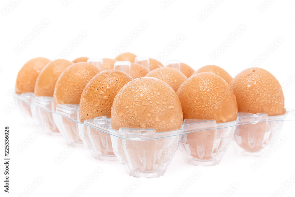 fresh eggs in the panel on white background isolate fresh eggs in the panel on white background isolate