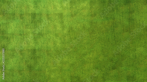 Private pool in a garden top view