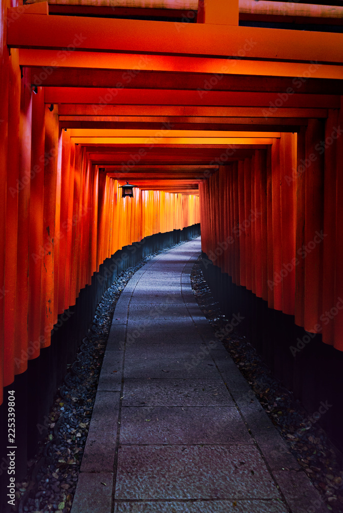 Fototapeta premium 千本鳥居