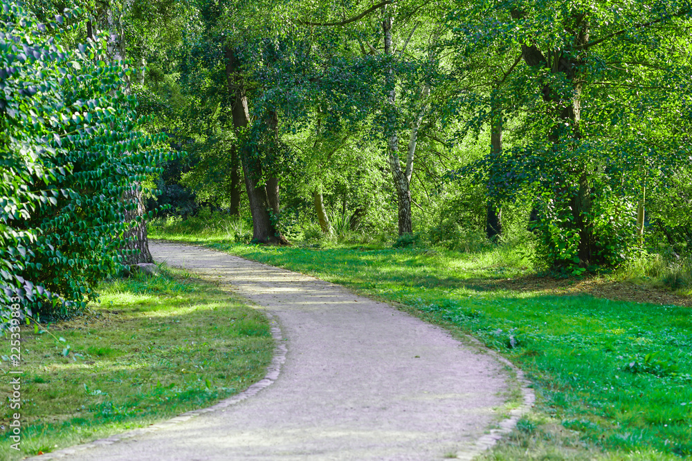 A solar walkway in the city park. A solar walkway in the city park.