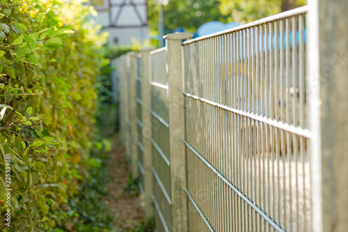 Metal fence and natural fencing.