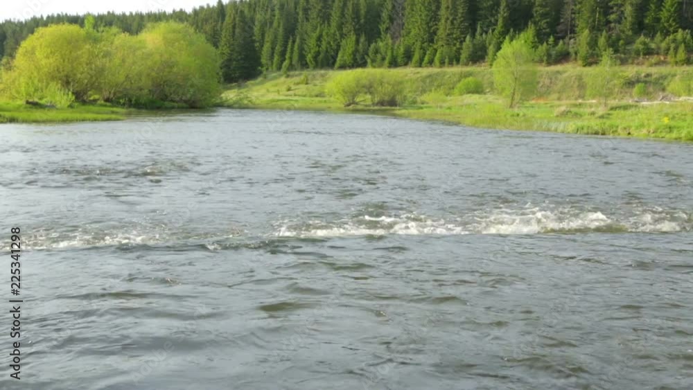 River in summer River in summer