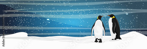Couple of Realistic imperial penguins on the snow. The glacier and the snow-covered plain. Starlight Night. Landscapes of the Antarctic.