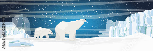 The white bear and her cub bear walks through the snow. Mother and child. The glacier, snow-covered plains. Starry night in the North. Landscapes of the Arctic.