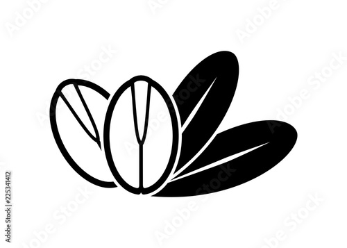 Argan Oil Tree Seed Icon.