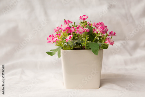 artificial pink flowers in small pot