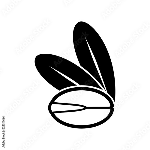 Argan Oil Tree Seed Icon.