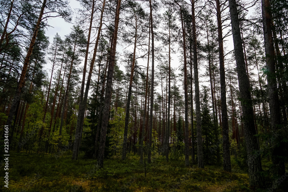 Lahemaa National Park