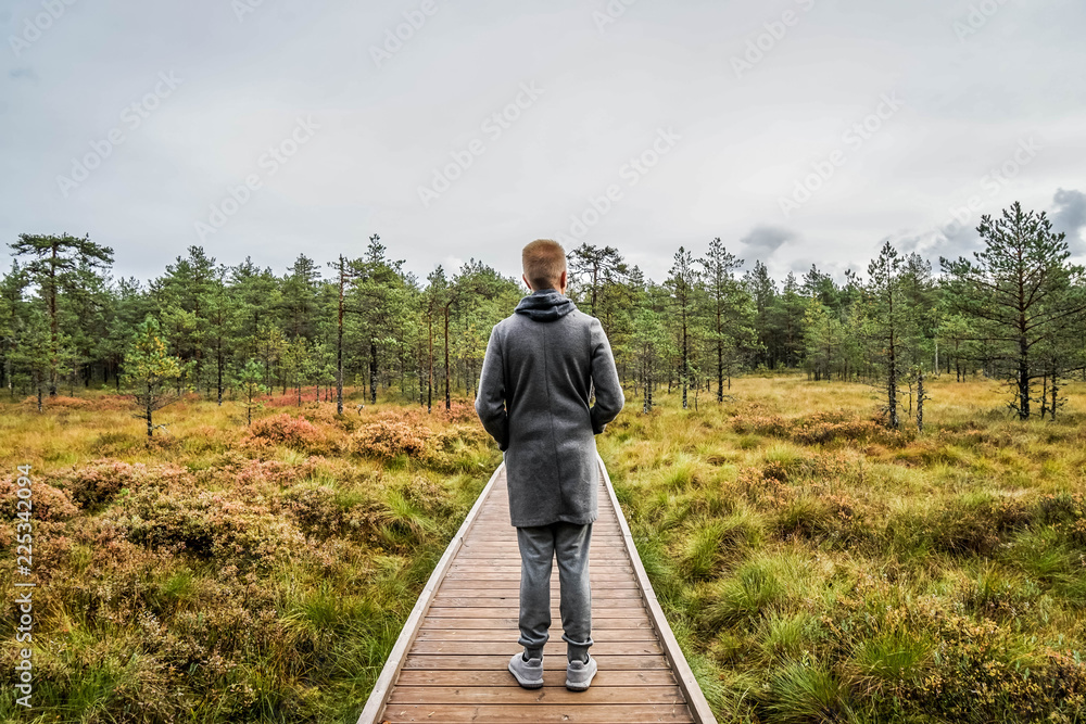 Bog landscape in tallinn, town, old, estonia, europe, baltic, city, autumn, capital, view, architecture, urban, building, travel, landmark, cityscape, medieval, historic, tower, european, street, beau Bog landscape in tallinn, town, old, estonia, europe, baltic, city, autumn, capital, view, architecture, urban, building, travel, landmark, cityscape, medieval, historic, tower, european, street, beau