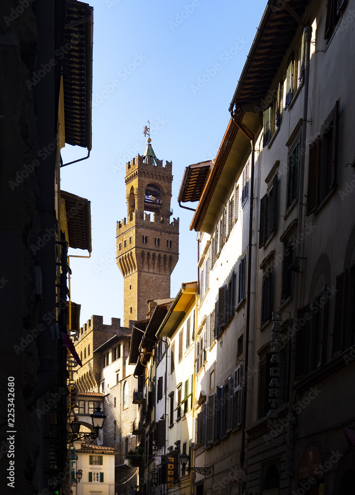 tower of Palazzo Vecchio among the houses of Florence