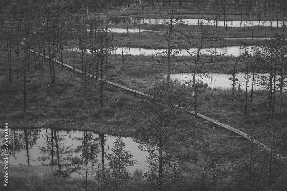 Fototapeta premium Lahemaa National Park In Estonia