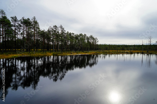 Lahemaa National Park In Estonia