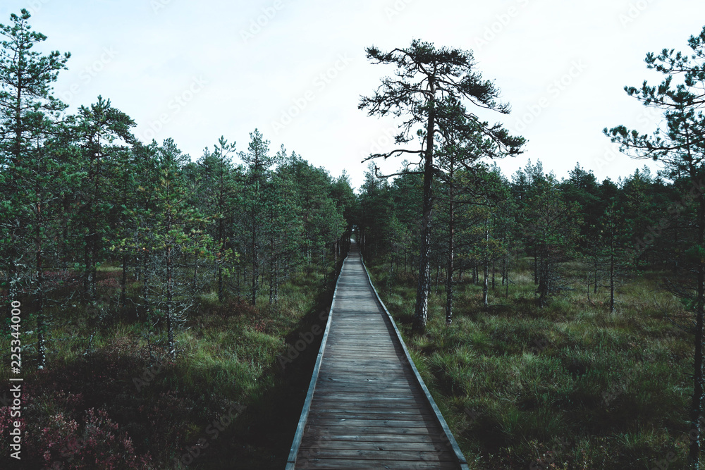 Lahemaa National Park is a park located in northern Estonia,  east from the capital Tallinn. 