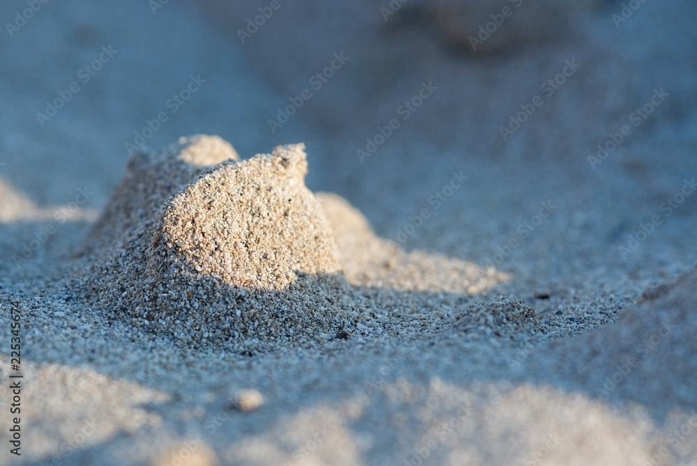 Sunlit sandy beach grains macro closeup Sunlit sandy beach grains macro closeup